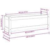 Garden Planter Black 100x31x31 cm Solid Pinewood