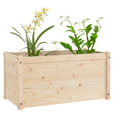 Garden Planters 2 pcs 100x50x50 cm Solid Pinewood - Top-Down View