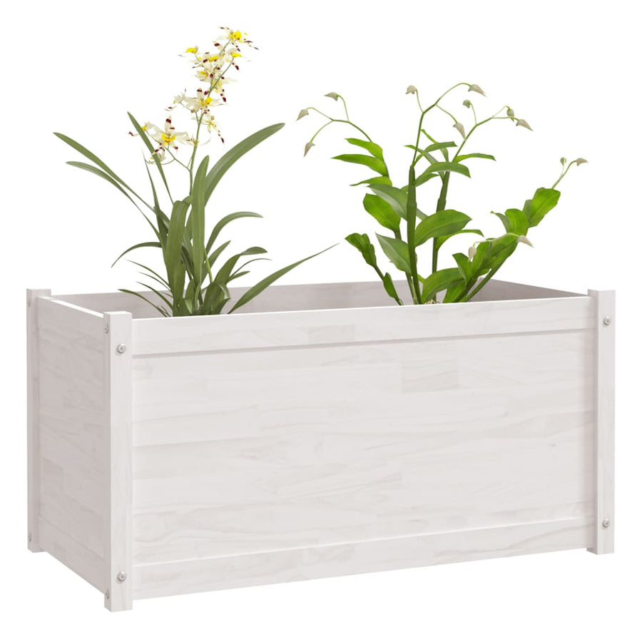 Garden Planters 2 pcs White 100x50x50 cm Solid Pinewood