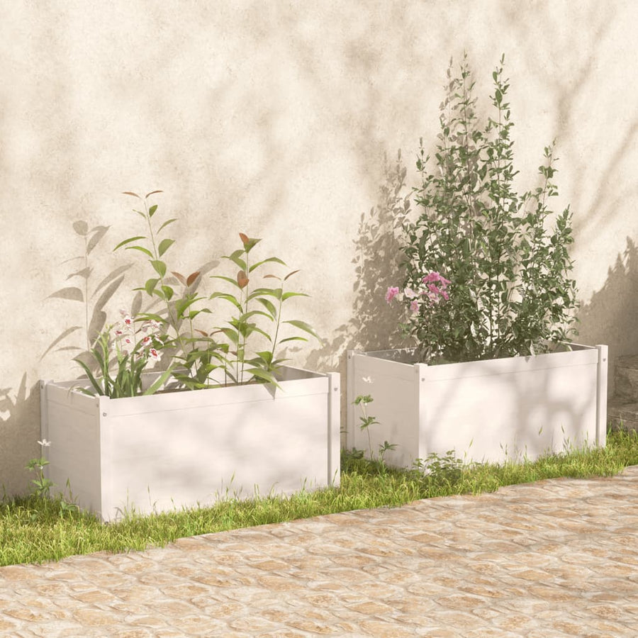 Garden Planters 2 pcs White 100x50x50 cm Solid Pinewood