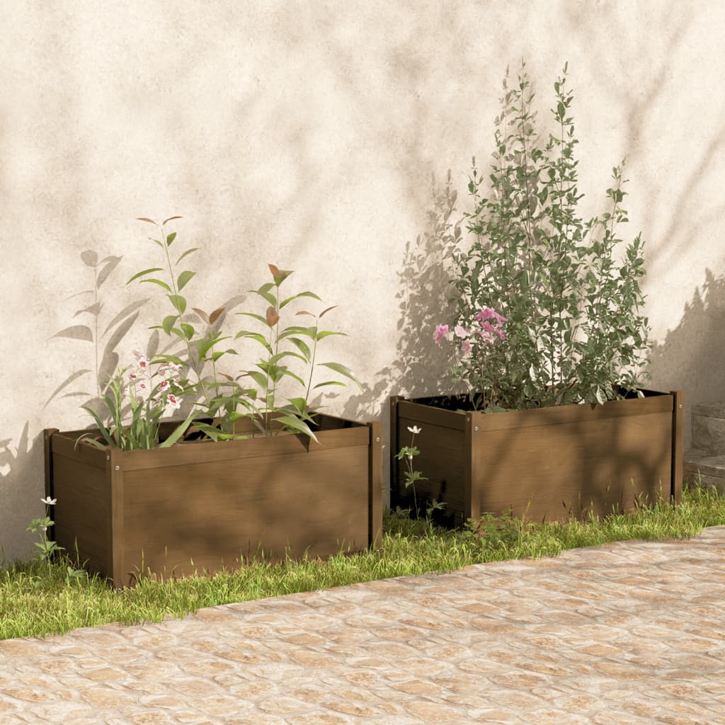 Garden Planters 2 pcs Honey Brown 100x50x50cm Solid Pinewood