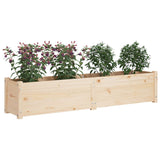 Garden Raised Bed 150x31x31 cm Solid Pinewood - Side View