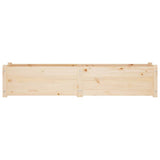 Garden Raised Bed 150x31x31 cm Solid Pinewood