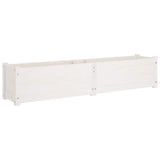 Garden Raised Bed White 150x31x31 cm Solid Pinewood - Front View