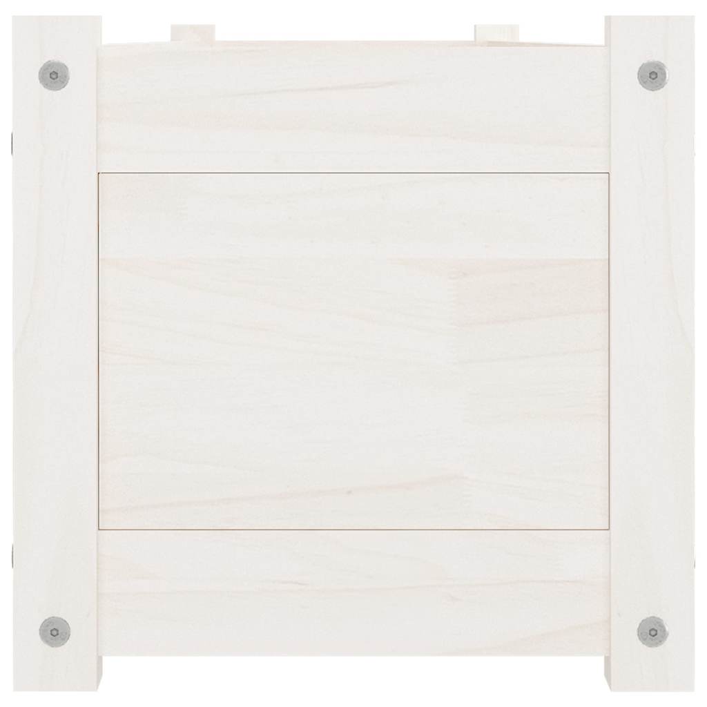 Garden Raised Bed White 150x31x31 cm Solid Pinewood