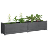 Garden Raised Bed Grey 150x31x31 cm Solid Pinewood