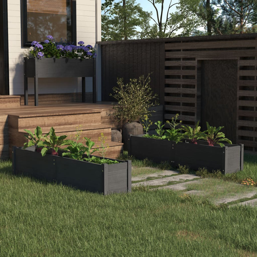 Garden Raised Beds 2 pcs Grey 150x31x31 cm Solid Pinewood