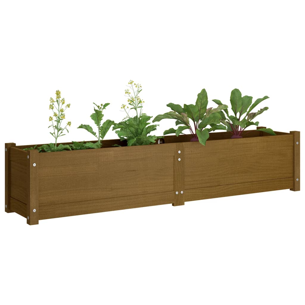 Garden Raised Bed Honey Brown 150x31x31 cm Solid Pinewood