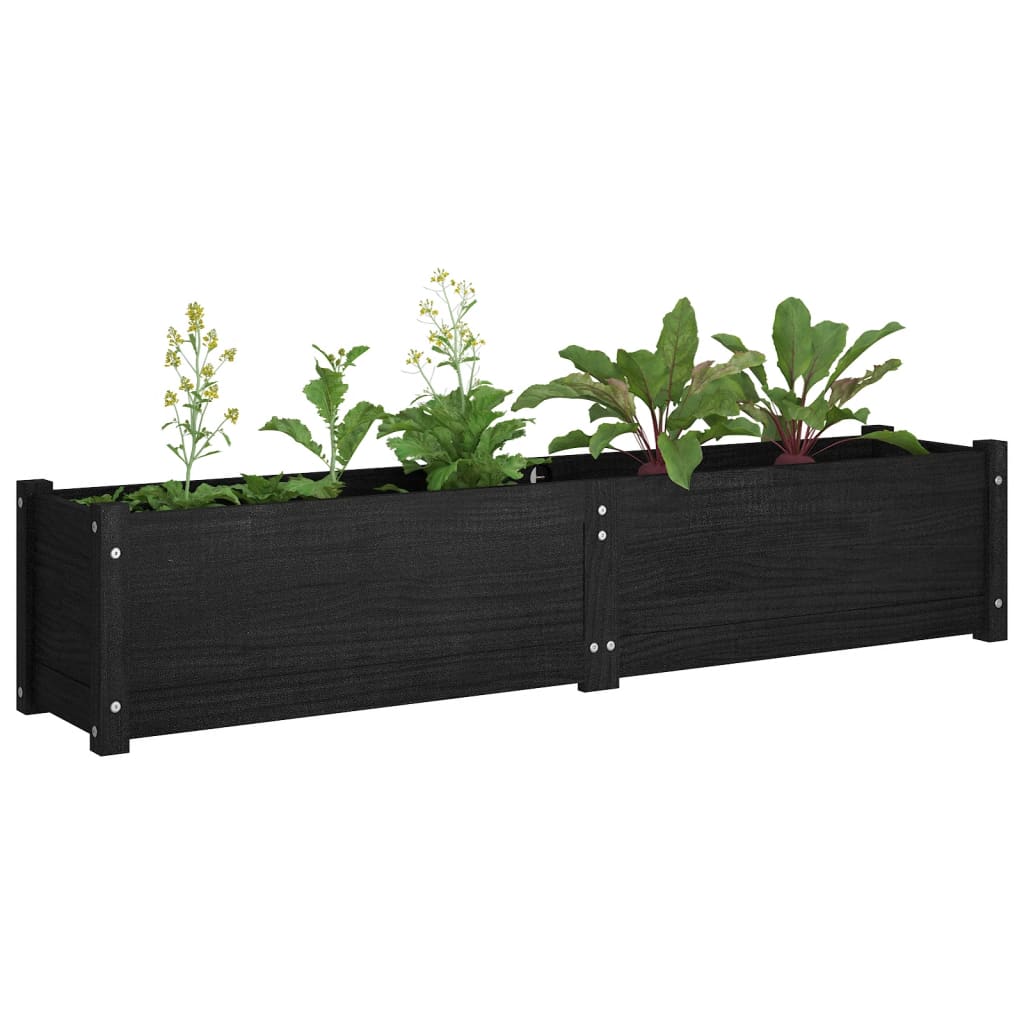 Garden Raised Beds 2 pcs Black 150x31x31 cm Solid Pinewood