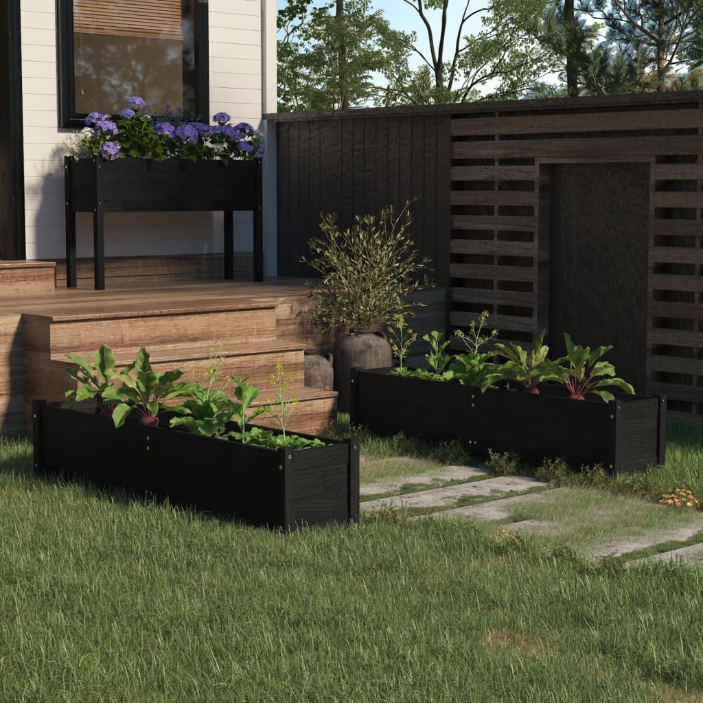 Garden Raised Beds 2 pcs Black 150x31x31 cm Solid Pinewood