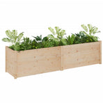 Garden Planter 200x50x50 cm Solid Pinewood
