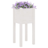 Garden Planter White 31x31x70 cm Solid Pinewood - Side View
