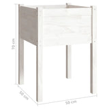 Garden Planter White 50x50x70 cm Solid Pinewood - Close-Up Angle