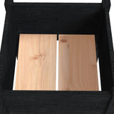 Garden Planters 2 pcs Black 50x50x70 cm Solid Pinewood - Rear View