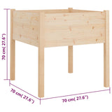 Garden Planters 2 pcs 70x70x70 cm Solid Pinewood - Low Angle