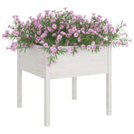 Garden Planters 2 pcs White 70x70x70 cm Solid Pinewood
