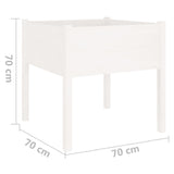 Garden Planters 2 pcs White 70x70x70 cm Solid Pinewood - Low Angle