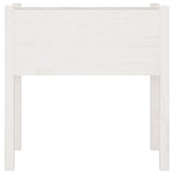 Garden Planters 2 pcs White 70x31x70 cm Solid Pinewood - Top-Down View