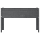 Garden Planters 2 pcs Grey 110x31x70 cm Solid Pinewood - 45-Degree Angle