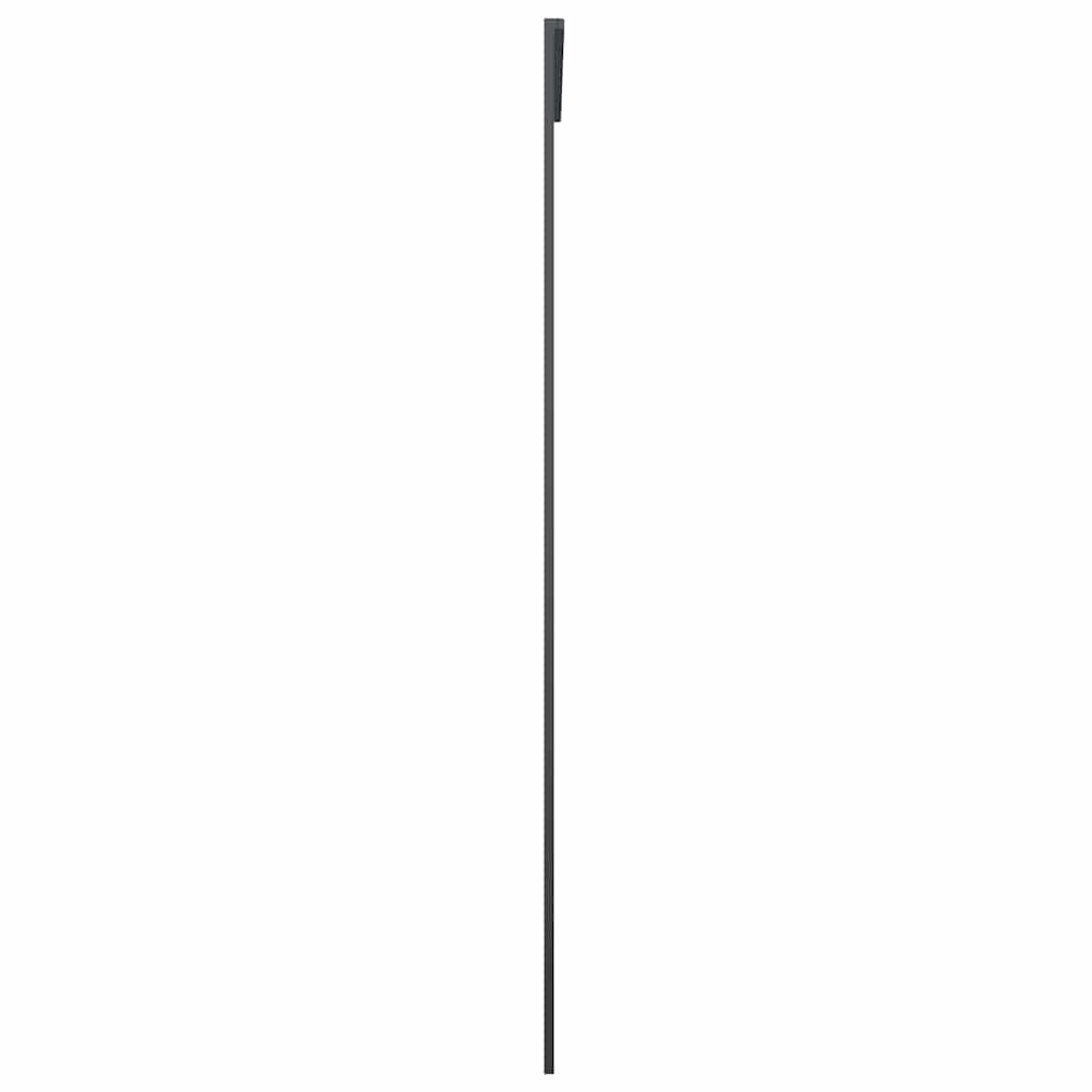 Sliding Door Black 102,5x205 cm ESG Glass and Aluminium