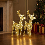 Christmas Reindeers 2 pcs Warm White 80 LEDs Acrylic