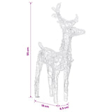 Christmas Reindeers 2 pcs Multicolour 80 LEDs Acrylic
