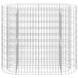 Gabion Raised Bed Galvanised Iron 120x50x100 cm