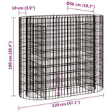 Gabion Raised Bed Galvanised Iron 120x50x100 cm - Low Angle