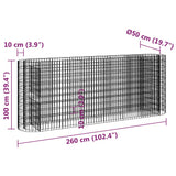 Gabion Raised Bed Galvanised Iron 260x50x100 cm - Low Angle