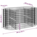 Gabion Raised Bed Galvanised Iron 200x100x100 cm - Low Angle