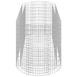 Gabion Raised Bed Galvanised Iron 300x100x100 cm