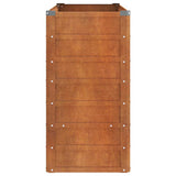 Garden Raised Bed Rusty 100x40x77 cm Corten Steel