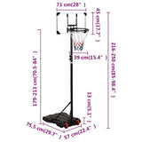 Basketball Stand Transparent 216-250 cm Polycarbonate - Extra Image