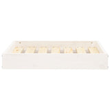 Dog Bed White 61.5x49x9 cm Solid Wood Pine - Top-Down View