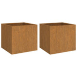 Planters 2 pcs 49x47x46 cm Corten Steel - Front View