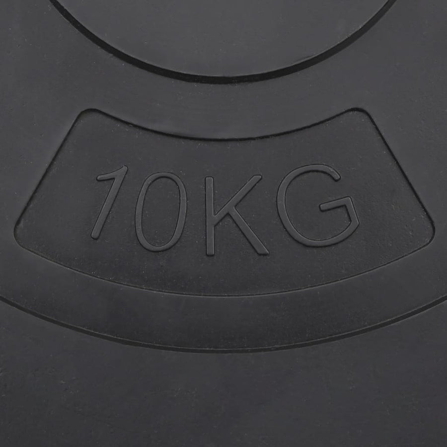 Weight Plates 4 pcs 30 kg Cement
