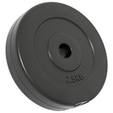 Weight Plates 6 pcs 30 kg Cement - Close-Up Angle