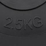 Weight Plates 6 pcs 30 kg Cement