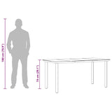 Garden Dining Table Black 160x80x74cm Steel and Tempered Glass - Extra Image