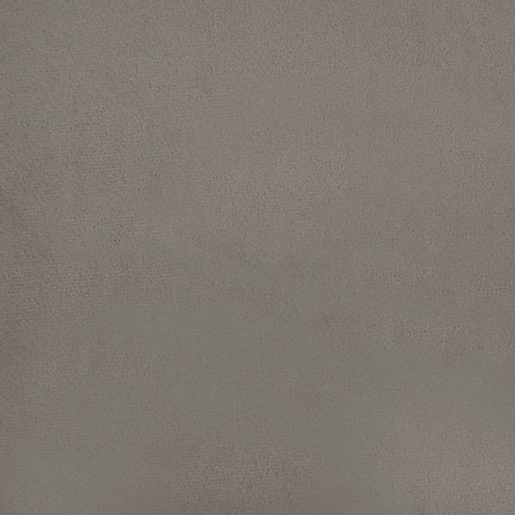 Throw Pillows 2 pcs Light Grey 40x40 cm Velvet