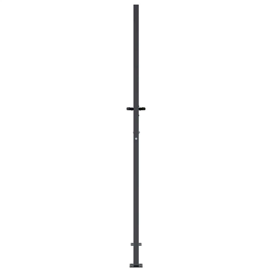 Garden Gate Anthracite 100x200 cm Steel Grass Design