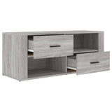 TV Cabinet Grey Sonoma 100x35x40 cm Engineered Wood - Close-Up Angle