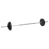Barbell and Dumbbell with Plates 60 kg - Rear View