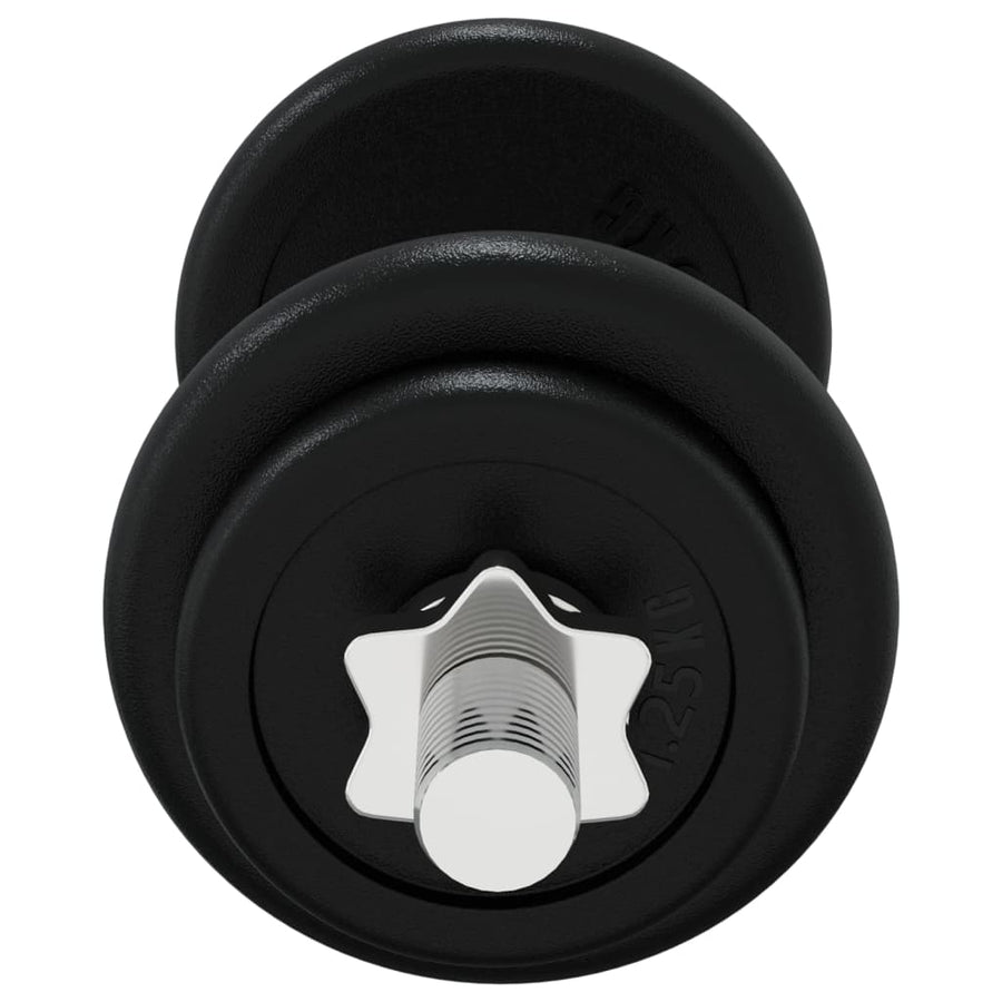 Dumbbell with Plates Set 40 kg Cast Iron and Chrome Plated Steel