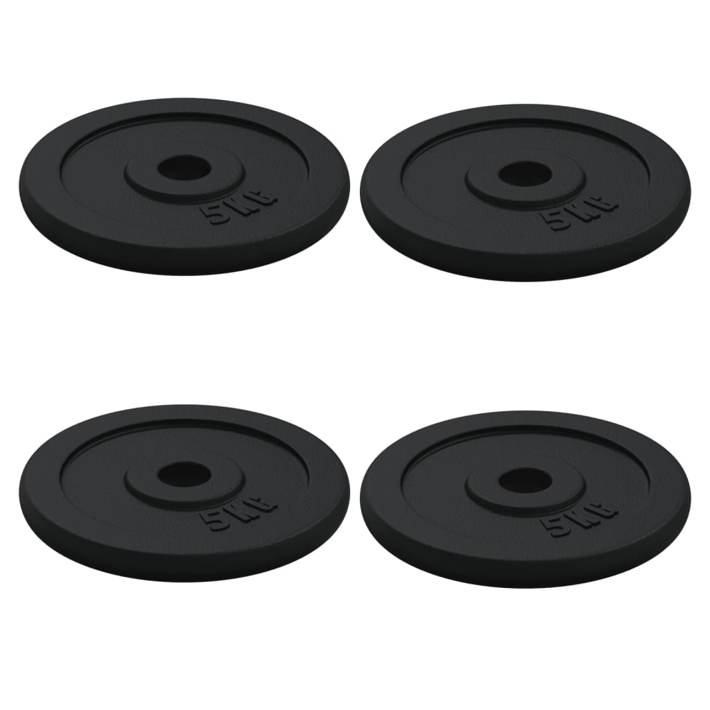 Dumbbell with Plates Set 40 kg Cast Iron and Chrome Plated Steel