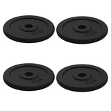 Dumbbell with Plates Set 40 kg Cast Iron and Chrome Plated Steel - Low Angle