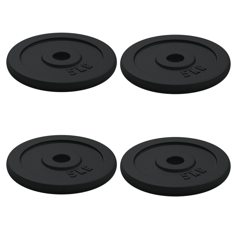 Dumbbell with Plates Set 40 kg Cast Iron and Chrome Plated Steel