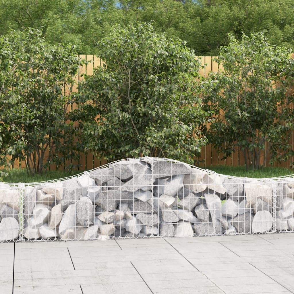 Arched Gabion Baskets 40 pcs 200x30x40/60 cm Galvanised Iron