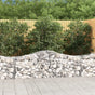 Arched Gabion Baskets 14 pcs 200x50x60/80 cm Galvanised Iron