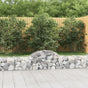 Arched Gabion Baskets 30 pcs 200x30x40/60 cm Galvanised Iron